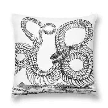 Amp Boa Constrictor Snake skeleti Illustration Retro 1800S qora va oq ilonlar yostiq otish