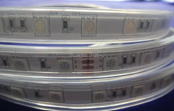 DC24V LED tasmasi 5050 SMD moslashuvchan yorug'lik 60led/m,5m 300led, oq, issiq, ko'k, yashil, qizil, sariq;RGB; suv o'tkazmaydigan kremniy trubkasi;IP66